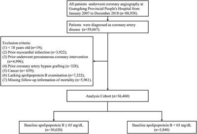 Paradoxical Association Between Baseline Apolipoprotein B and Prognosis in Coronary Artery Disease: A 36,460 Chinese Cohort Study